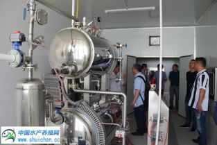 当涂螃蟹养殖面积超过25万亩,中国渔业协会水产商贸分会01号加工基地落户