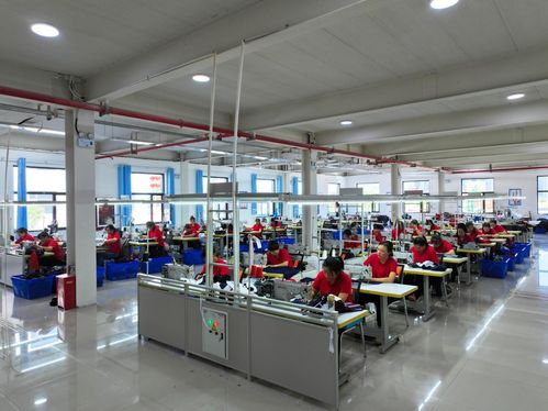 山西灵丘武灵镇现代农业产业园区被服厂里传出幸福歌