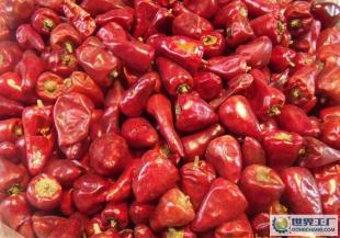 优质辣椒,小,头辣椒,辣椒厂家,北京利达世纪商贸_农副产品_世界工厂网中国产品信息库