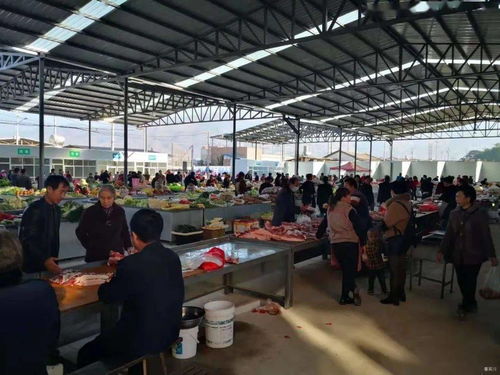 新市场 新面貌 新气象,新嘉源商贸城农产品交易中心12月24日正式投用