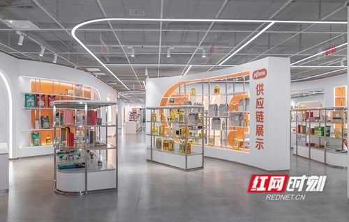 雨花登 高 ④ 把好 金钥匙 ,打造中部地区对非经贸交流 城市会客厅