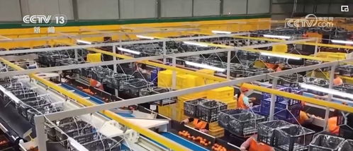 透过数据看中越经贸合作亮点